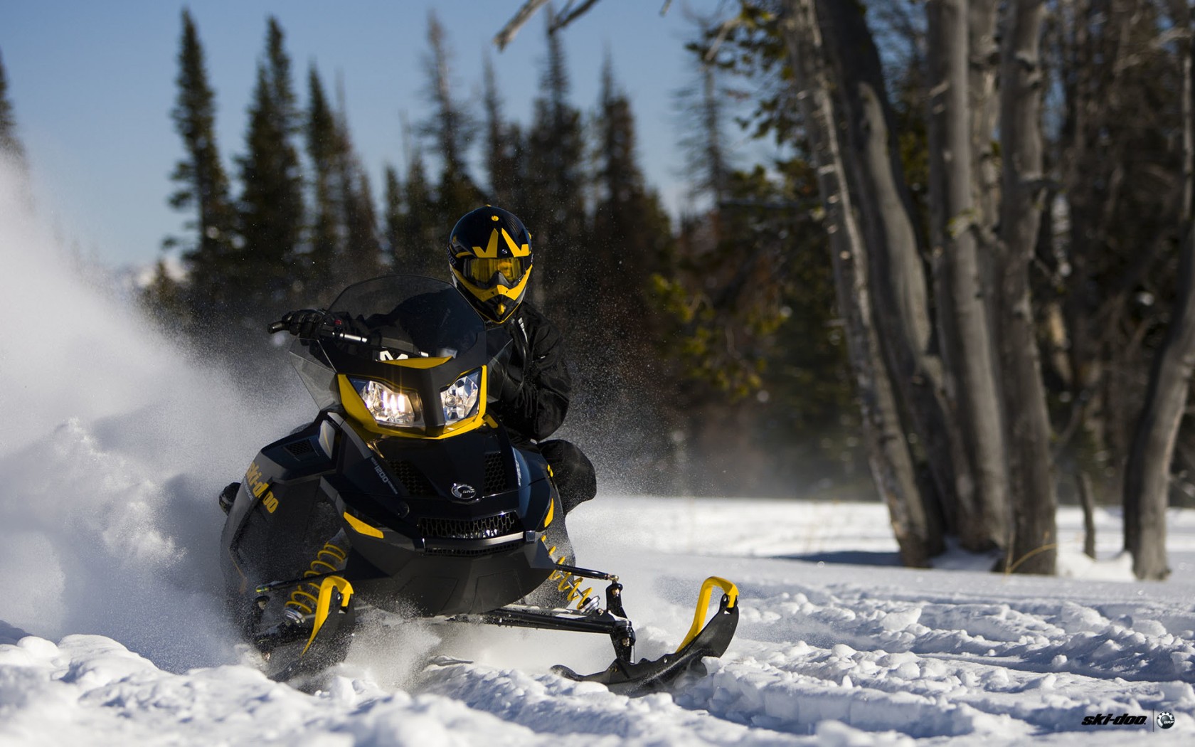 Снегоход BRP Ski Doo спорт