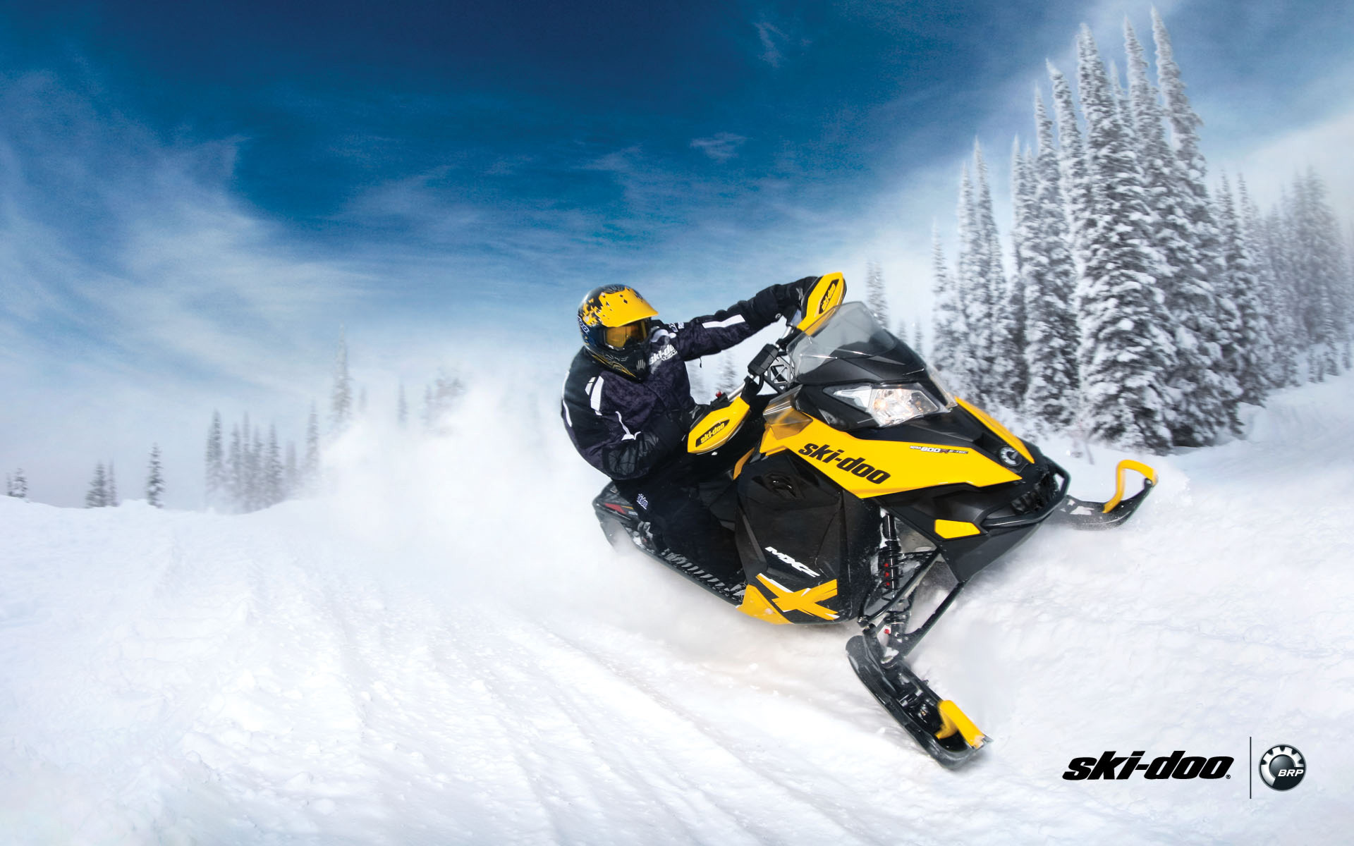 РЎРЅРµРіРѕС…РѕРґ BRP Ski Doo Renegade Sport